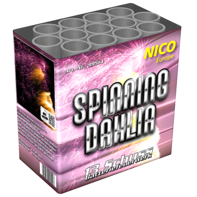 Nico-Spinning Dahlia